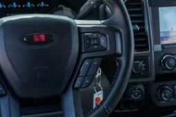 
										2020 Ford F-150 XLT V8 Saleen Yellow Label SporTruck XR full									