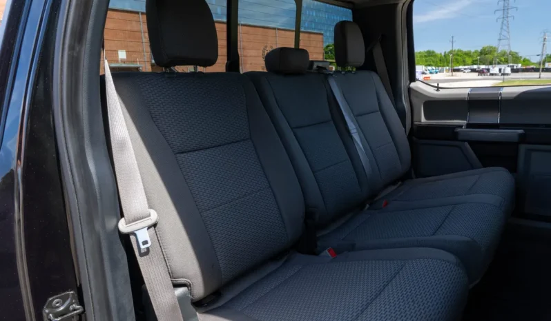 
								2020 Ford F-150 XLT V8 Saleen Yellow Label SporTruck XR full									